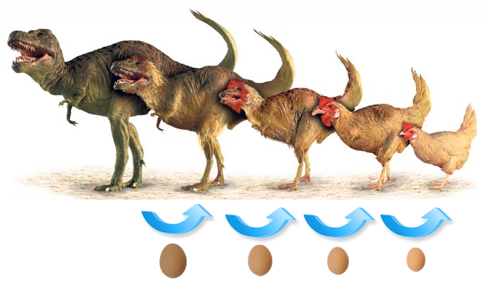 quels animaux descendant des dinosaures
