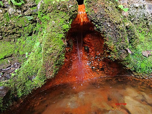 Eau ferrugineuse