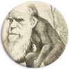 <strong><span style='font-size:144%'> <a href="http://www.vulgarisation-scientifique.com/wiki/Pages.Idée reçue - Darwin a inventé la théorie de l évolution" style="color: black;" >Idée reçue : Darwin a inventé la théorie de l'évolution </a> </span></strong> <br clear='all' /><br clear='all' />À quand remonte le concept d'évolution ?  <br clear='all' />                                                                  <a href="http://www.vulgarisation-scientifique.com/wiki/Pages.Idée reçue - Darwin a inventé la théorie de l évolution" style="color: black;font-weight: bold;" > Lire l'article</a>