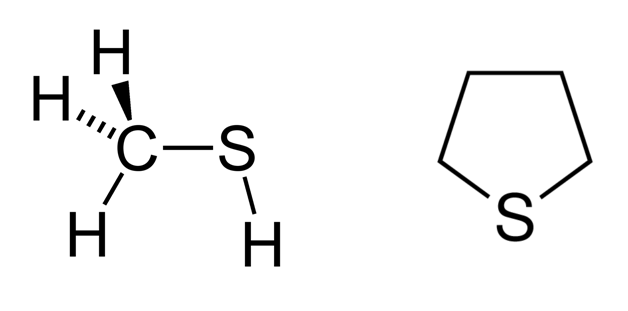 Méthylmercaptan et tétrohydrothiophène